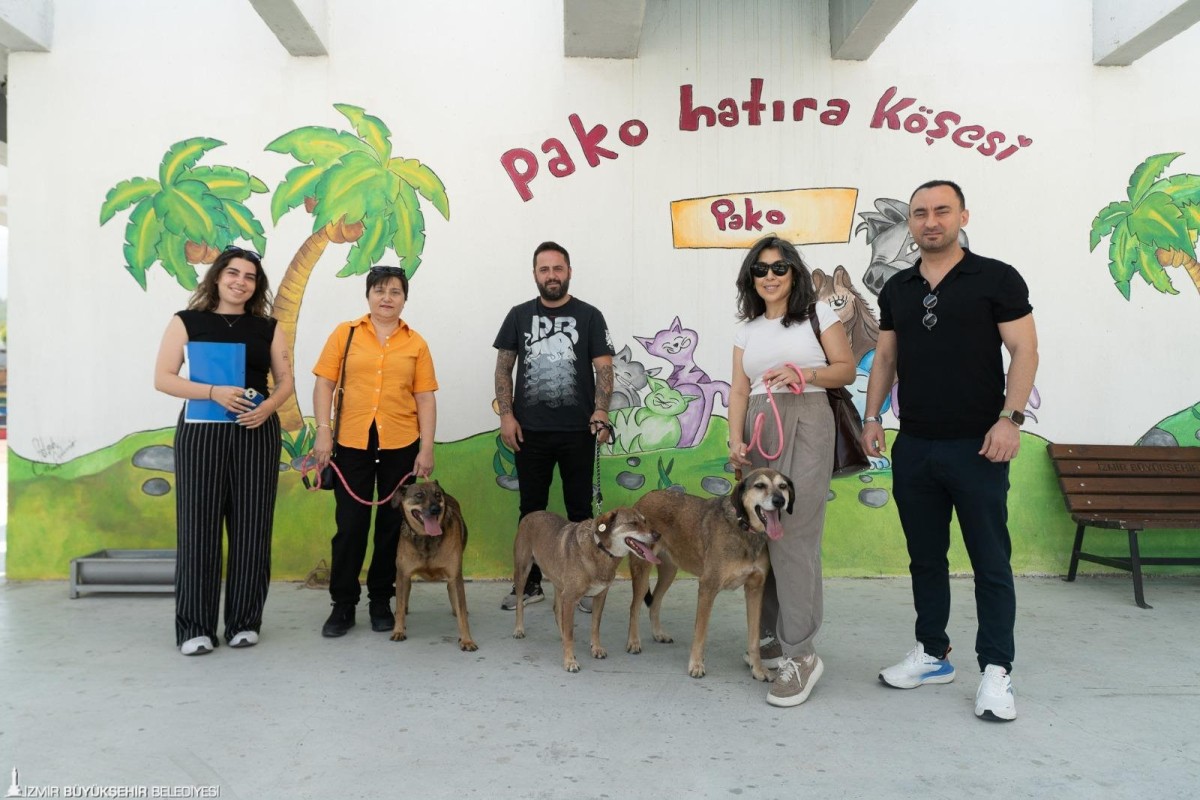Patili Dostlar İş Başında”